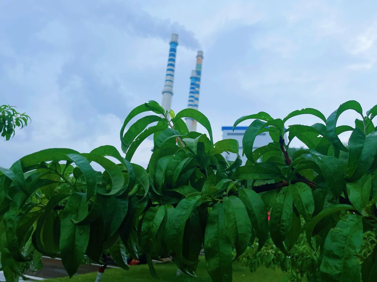 微信圖片_20250707081303(1).jpg